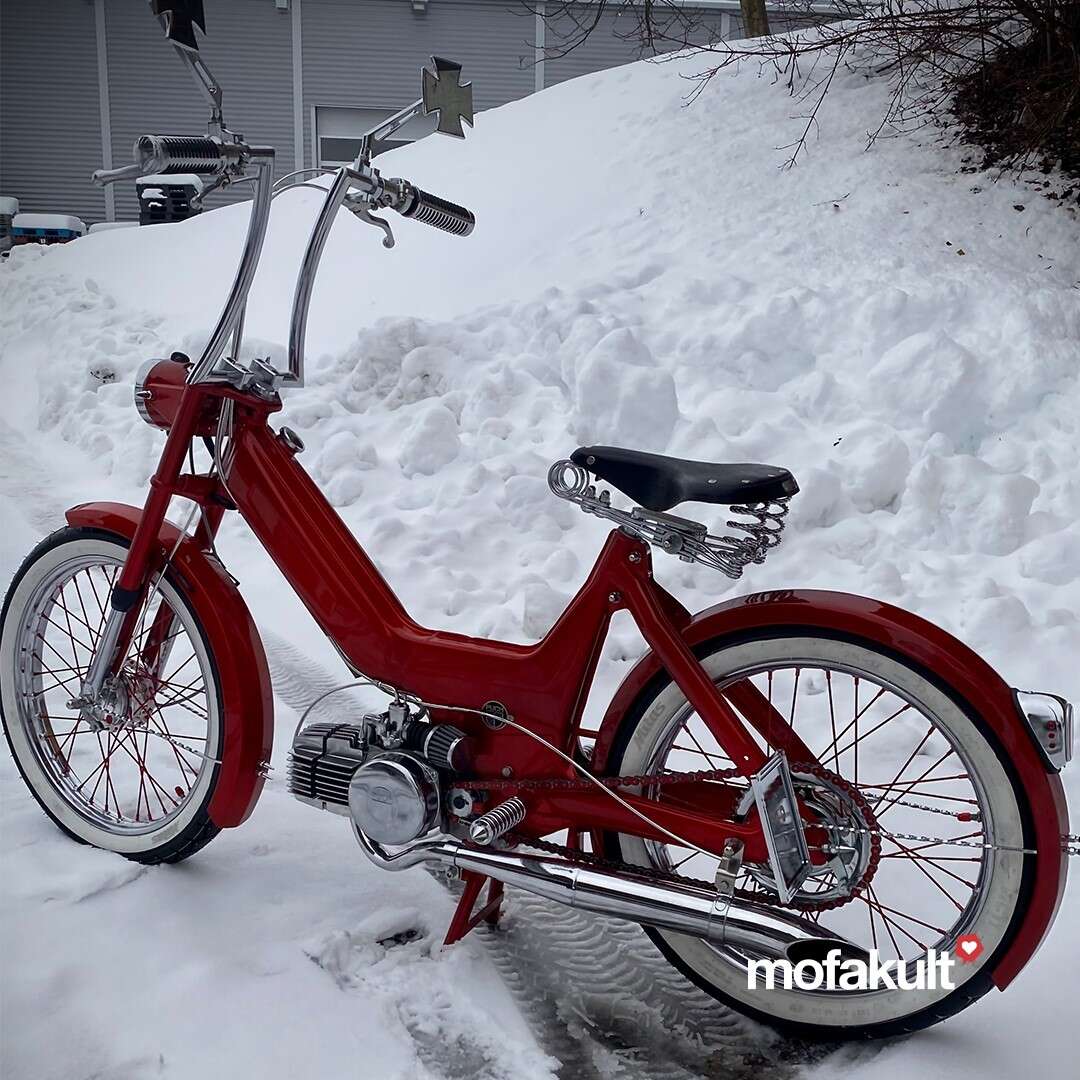 Maxi N von Fischi Maxi N von Fischi