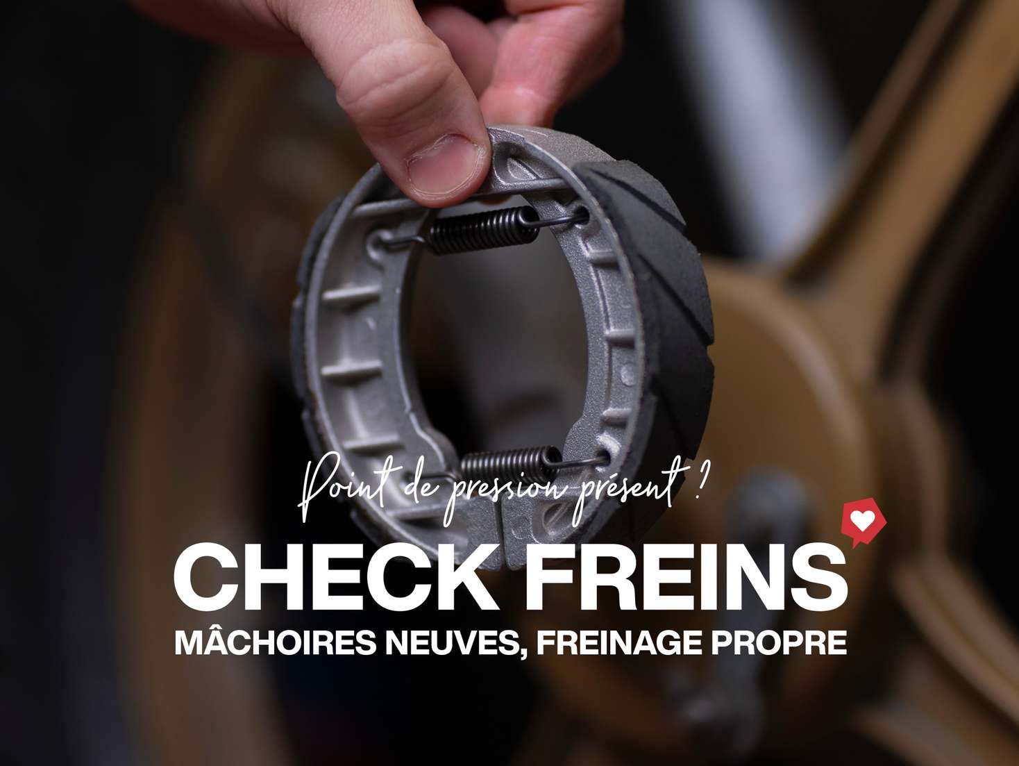 fr-shop-landing-02-L fr-shop-landing-02-L