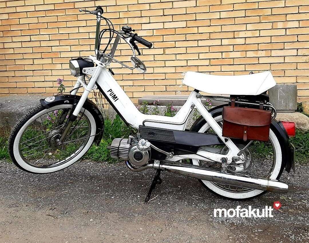 Importierte Pumi von Patrick  Importierte Pumi von Patrick