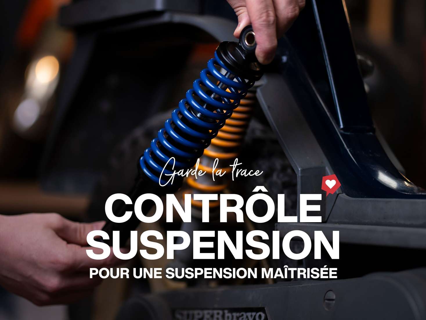 fr-shop-landing-04-L fr-shop-landing-04-L