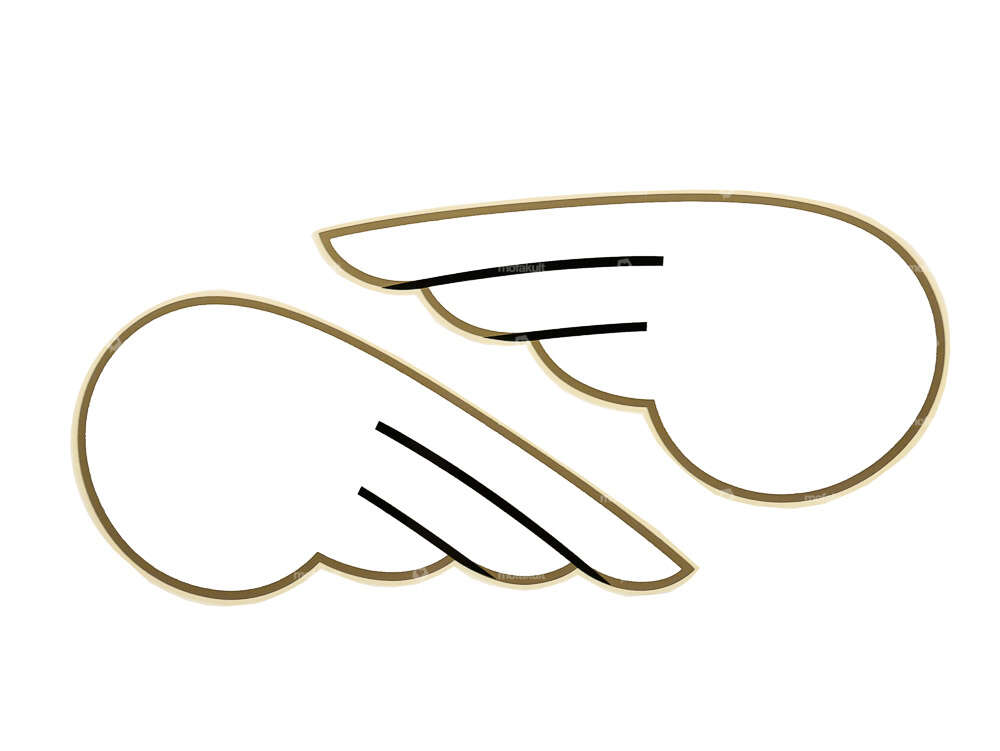 Aile DKW blanc paire Carousel Image 1