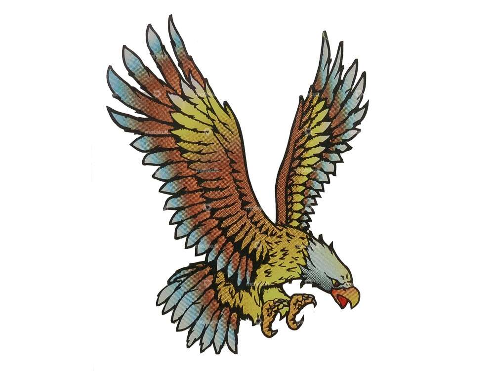 Aufkleber «Eagle» 85 x 105 mm Carousel Image 1