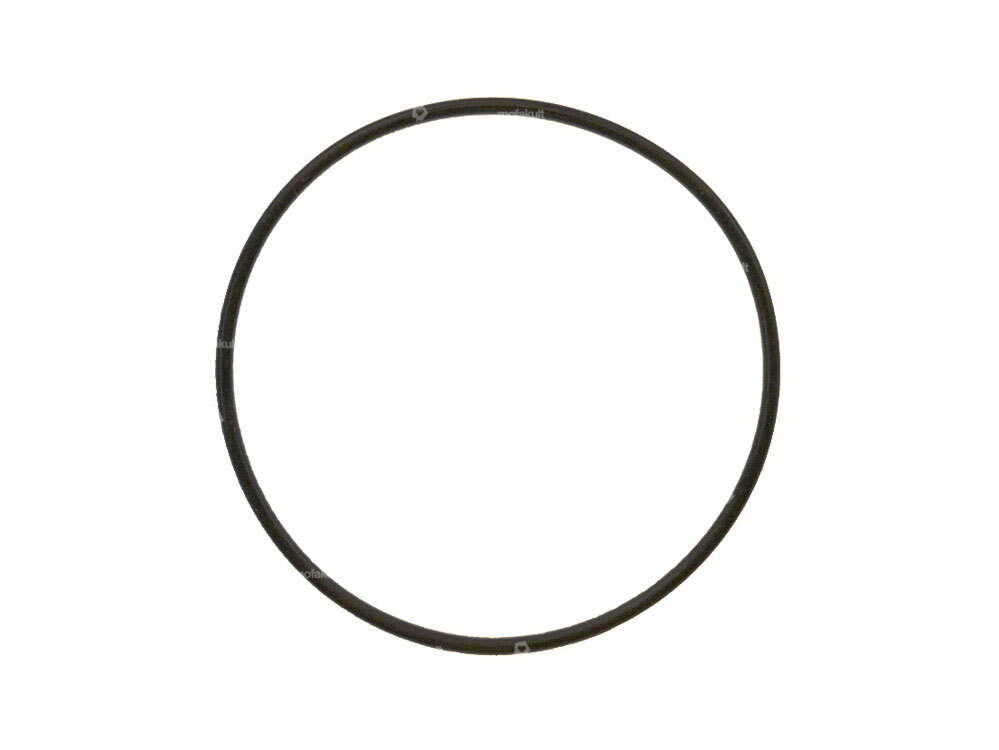 Joint torique de culasse FPM (jusqu'à 200°C) 44 x 1.8 mm | Puch Carousel Image 1