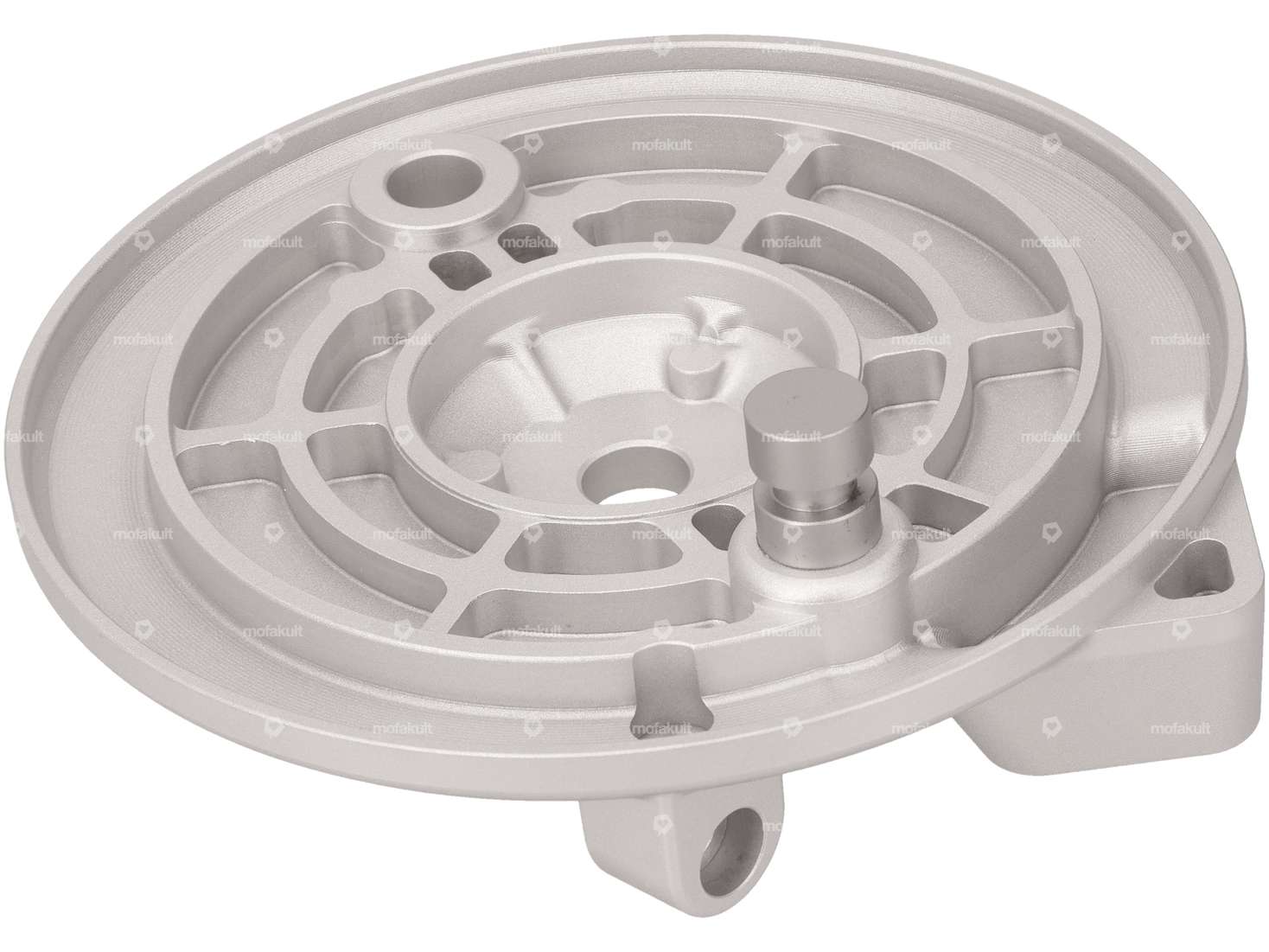 AKOA Plaque d'ancrage de frein roue en fonte avant | Piaggio SI Carousel Image 3