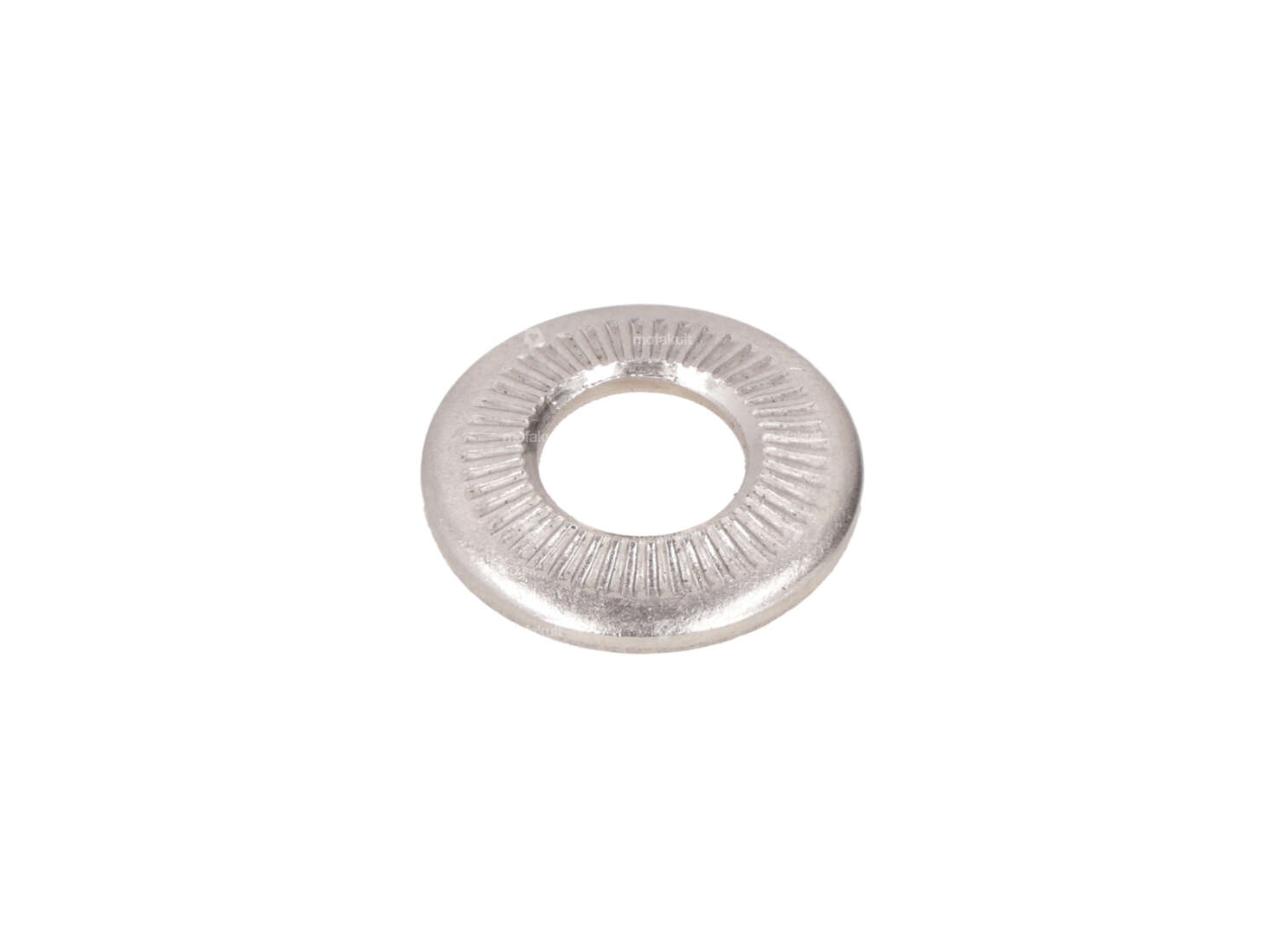 Ripp-Lock washer M8 8.2/18/1.4 Inox Carousel Image 1