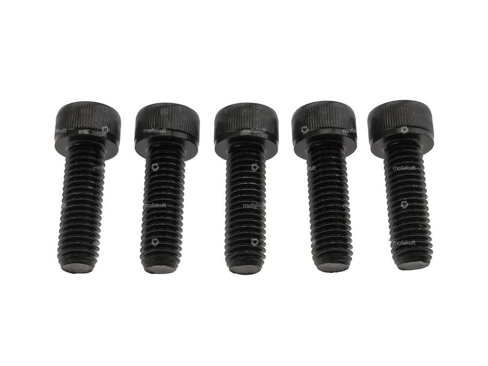 GPO Schrauben-Set Radnabe Guss schwarz (12.9 Festigkeit) | Puch Carousel Image 1