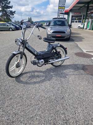 Grauer Pfusch Grauer Pfusch