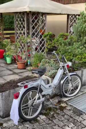 (Eigentlich es Maxi Condor) (Eigentlich es Maxi Condor)