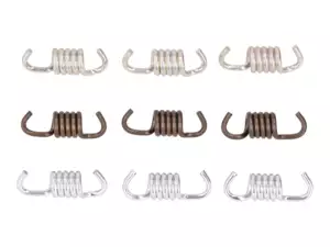 Pinasco Jeu de ressorts d'embrayage Mono | Piaggio Ciao, SI, Bravo, Boxer Pinasco Jeu de ressorts d'embrayage Mono | Piaggio Ciao, SI, Bravo, Boxer