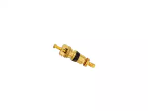 REMA TipTop embout de valve tuyau de mofa REMA TipTop embout de valve tuyau de mofa
