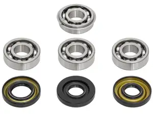 swiing® revival Motorenrevision-Set (altes Modell) | Puch E50 swiing® revival Motorenrevision-Set (altes Modell) | Puch E50