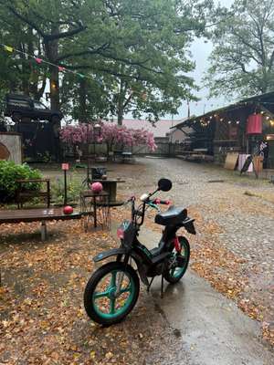 Vanessa von Rosenberger Vanessa von Rosenberger