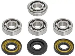 swiing® revival Motorenrevision-Set (neues Modell) | Puch E50 swiing® revival Motorenrevision-Set (neues Modell) | Puch E50