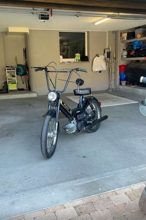 Golden_betty Golden_betty