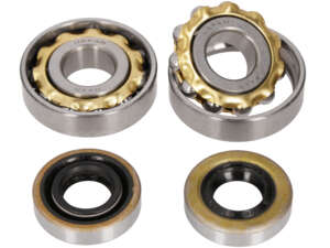 NSK crankshaft bearing set | Sachs 503 2AL, 2BL NSK crankshaft bearing set | Sachs 503 2AL, 2BL