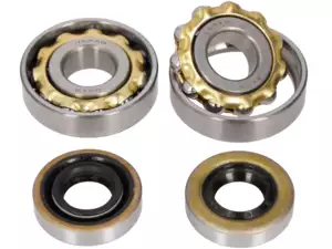 NSK crankshaft bearing set | Sachs 503 2AL, 2BL NSK crankshaft bearing set | Sachs 503 2AL, 2BL